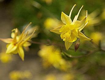 受《极乐迪斯科》启发 独立RPG《温室》发布试玩